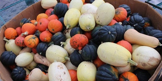 There are many quick and easy ways to cook winter squashes.