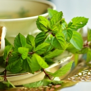 Mint has many benefits, including weight loss.