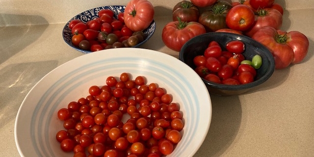 17 Ways To Use Tomatoes