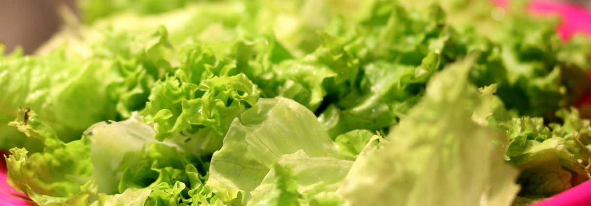 Salad making is easy with a good spinner.