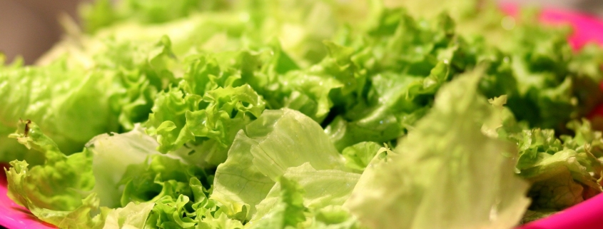 Salad making is easy with a good spinner.